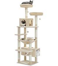 Amazon | PETEPELA(ぺテぺラ) キャットタワー 大型猫用 猫タワー